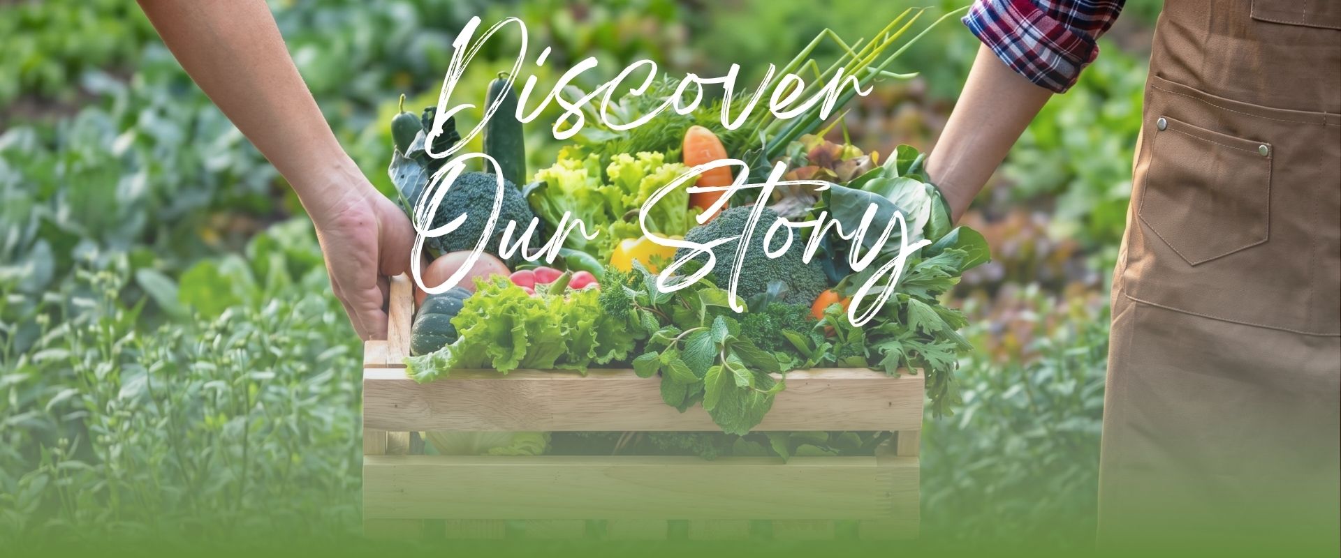 agrimex banner