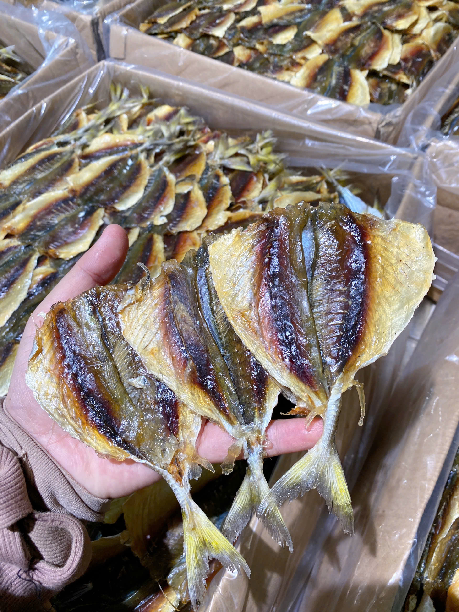 kho ca chi vang