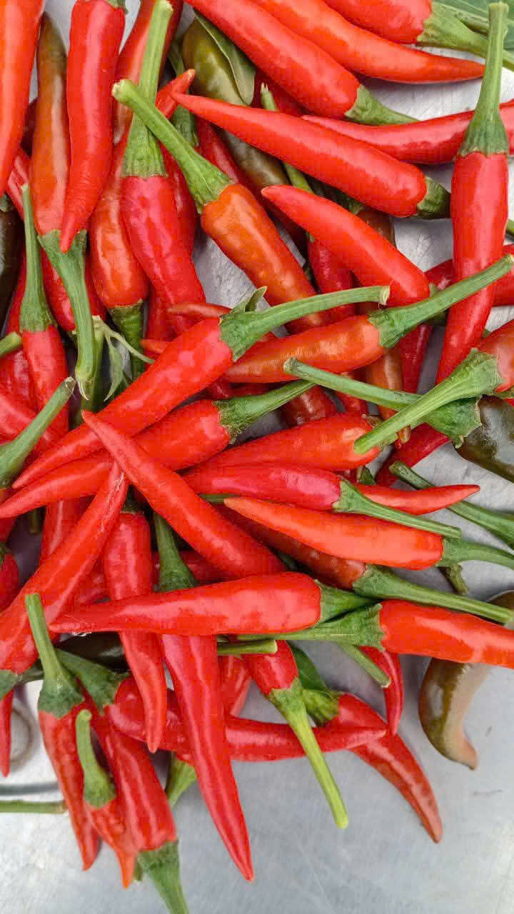ớt tươi