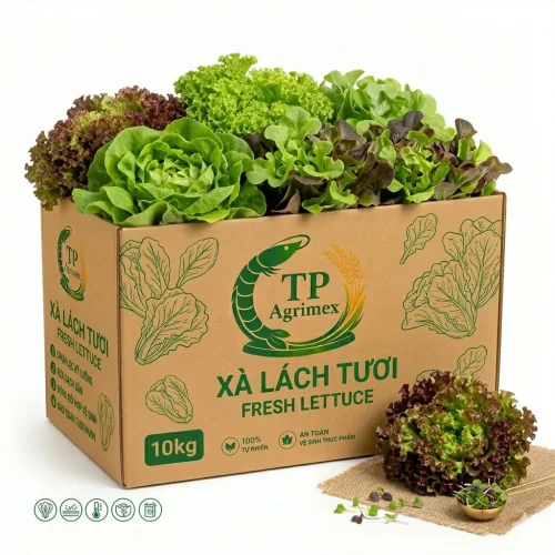 Rau Xà Lách